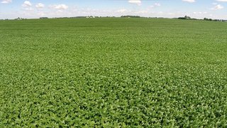 Dillion, Cass County